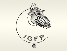 logo - igfp