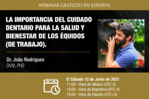 Webinar HDE - João Rodrigues