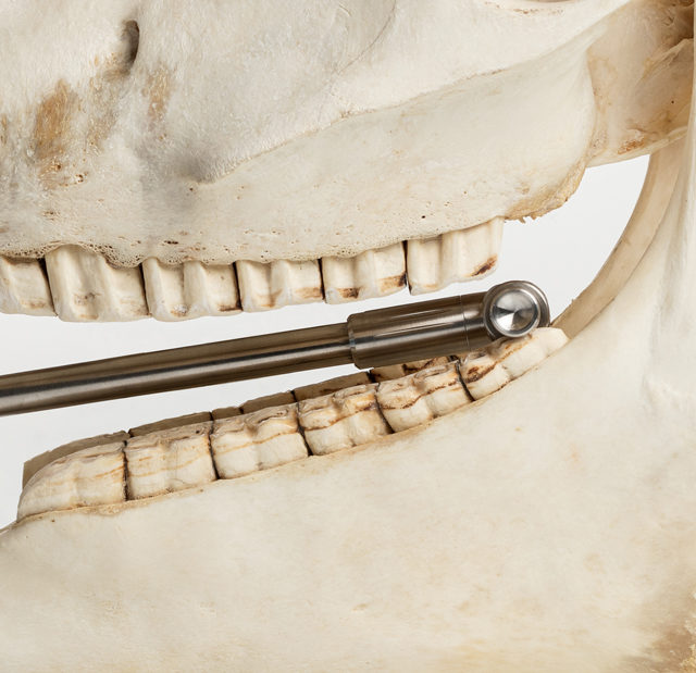 COMPACT Polyfloat Straight (without burr) Close-up