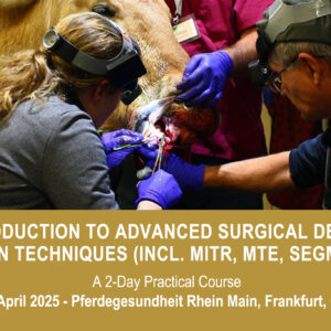 VetPD Course Avril 2025 - Allemagne