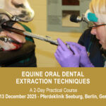 VetPD Course - Equine Oral Dental Extraction Techniques