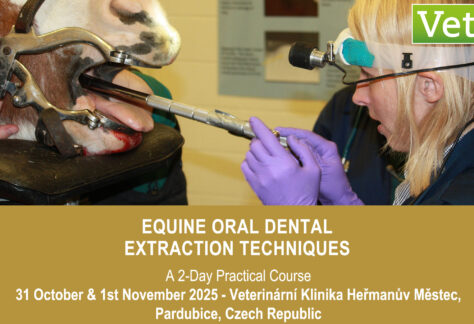 VetPD Course Octobre 2025 - République Tchèque