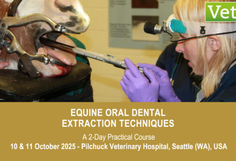 VetPD Course - Equine Oral Dental Extraction Techniques