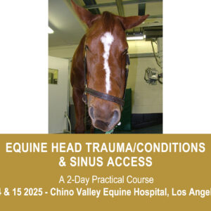 VetPD Course - Equine Head Trauma/Conditions & Sinus Access