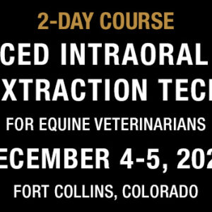 2-Day Course - Advanced Intraoral Cheek Tooth Extraction Techniques