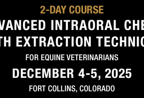 2-Day Course - Advanced Intraoral Cheek Tooth Extraction Techniques