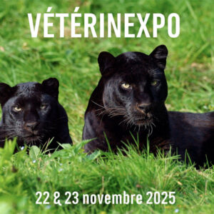 Veterinexpo 2025