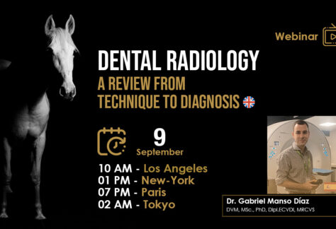 [HDE Vet Webinar] Dental Radiology, a Review from Technique to Diagnosis – Dr Gabriel Manso Díaz