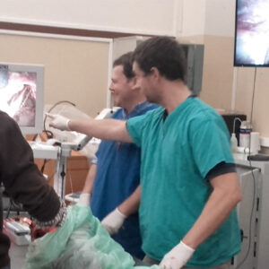 Cours VetAgro 2025 - Module Avancé