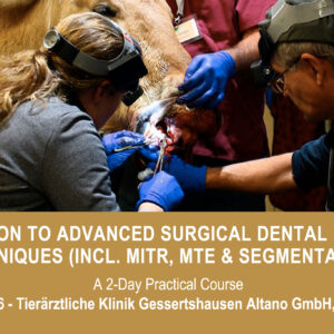 VetPD Course - Introduction to Advanced Surgical Dental Extraction Techniques (incl. MITR, MTE & Segmentation) - 16 & 17 October 2026 - Germany