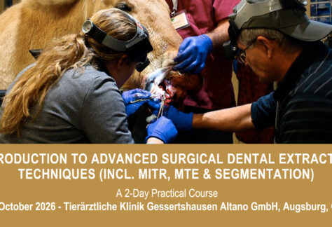 VetPD Course - Introduction to Advanced Surgical Dental Extraction Techniques (incl. MITR, MTE & Segmentation) - 16 & 17 October 2026 - Germany