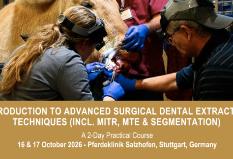 VetPD Course - Introduction to Advanced Surgical Dental Extraction Techniques (incl. MITR, MTE & Segmentation) - 16 & 17 October 2026 - Germany