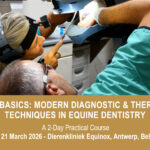 VetPD Course - Beyond Basics: Modern Diagnostic & Therapeutic Techniques in Equine Dentistry - 20 & 21 March 2026 - Belgium