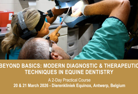 VetPD Course - Beyond Basics: Modern Diagnostic & Therapeutic Techniques in Equine Dentistry - 20 & 21 March 2026 - Belgium