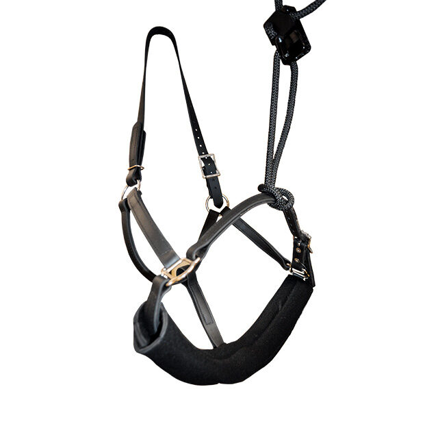 HDE Dental Halter