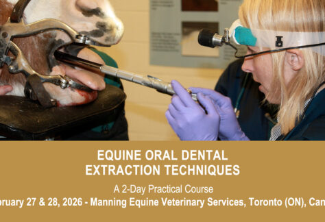 VetPD Course - Equine Oral Dental Extraction Techniques - 27 & 27 February 2026 - Canada
