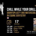 [HDE Webinar] Chill while you Drill – Odontoplasty and Watercooling in Equine Dentistry – Dr. Denis Verwilghen