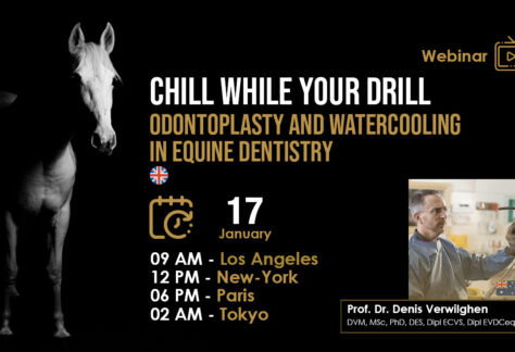 [HDE Webinar] Chill while you Drill – Odontoplasty and Watercooling in Equine Dentistry – Dr. Denis Verwilghen