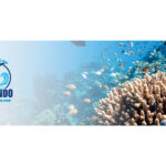 2026 Veterinary Dental Forum