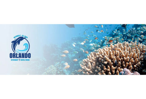 2026 Veterinary Dental Forum
