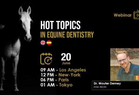[HDE Webinar] Hot Topics in Equine Dentistry - Dr. Wouter Demey