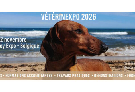 Veterinexpo 2026