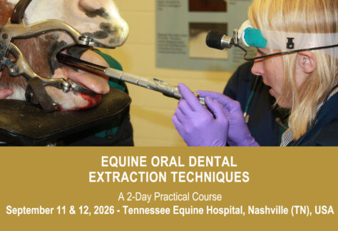 VetPD Course - Equine Oral Dental Extraction Techniques - September 11 & 12, 2026 - USA