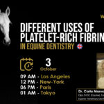 [HDE FREE Webinar] Different Uses of Platelet-Rich Fibrin in Equine Dentistry – Dr. Carla Manso