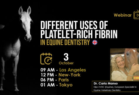 [HDE FREE Webinar] Different Uses of Platelet-Rich Fibrin in Equine Dentistry – Dr. Carla Manso