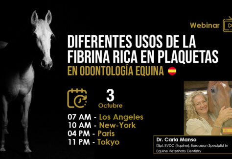[Webinar HDE GRATUITO] Diferentes Usos de la Fibrina Rica en Plaquetas en Odontología Equina – Dra. Carla Manso