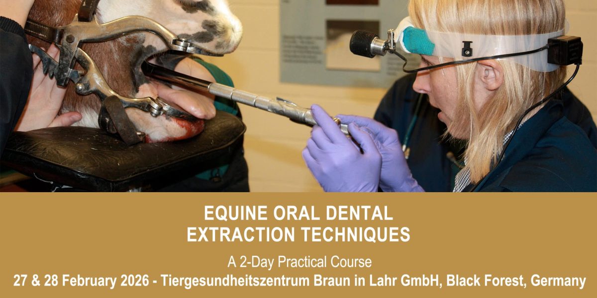 VetPD Course - Equine Oral Dental Extraction Techniques - 27 & 28 February 2026 - Germany
