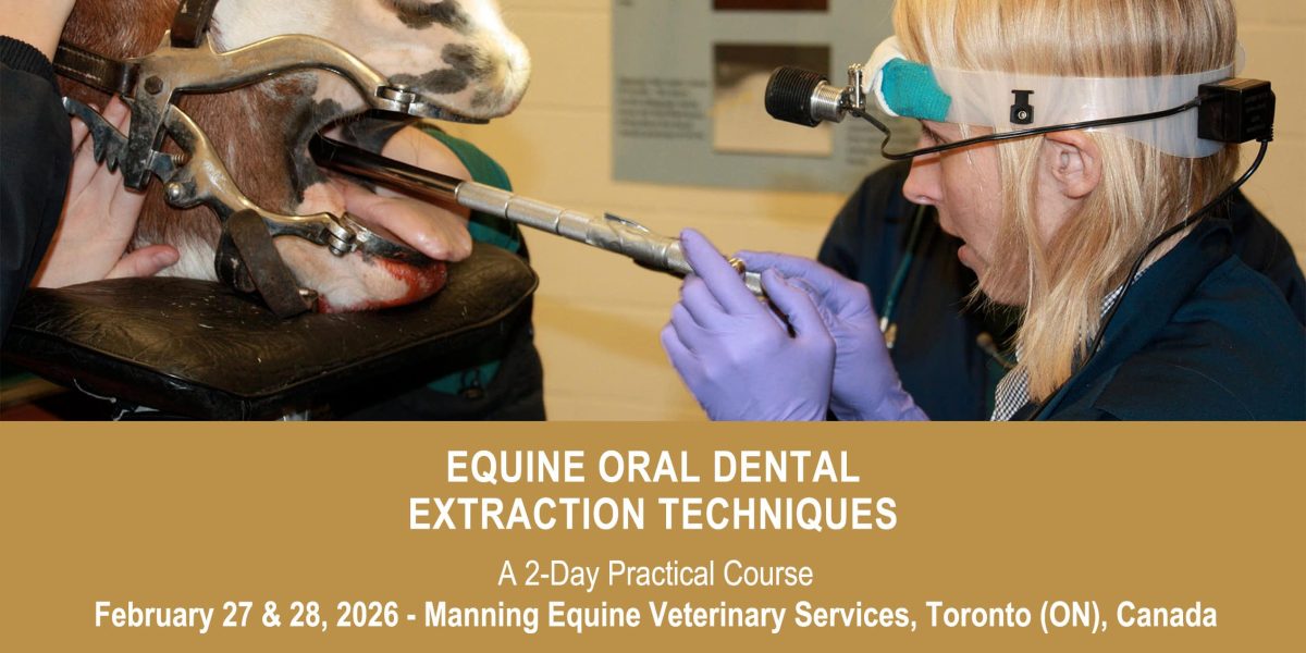 VetPD Course - Equine Oral Dental Extraction Techniques - 27 & 27 February 2026 - Canada
