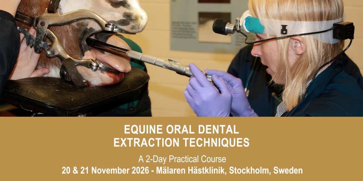 VetPD Course - Equine Oral Dental Extraction Techniques - 20 & 21 November 2026 - Sweden