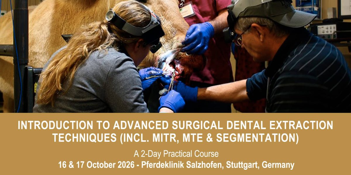 VetPD Course - Introduction to Advanced Surgical Dental Extraction Techniques (incl. MITR, MTE & Segmentation) - 16 & 17 October 2026 - Germany