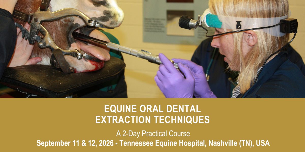 VetPD Course - Equine Oral Dental Extraction Techniques - September 11 & 12, 2026 - USA