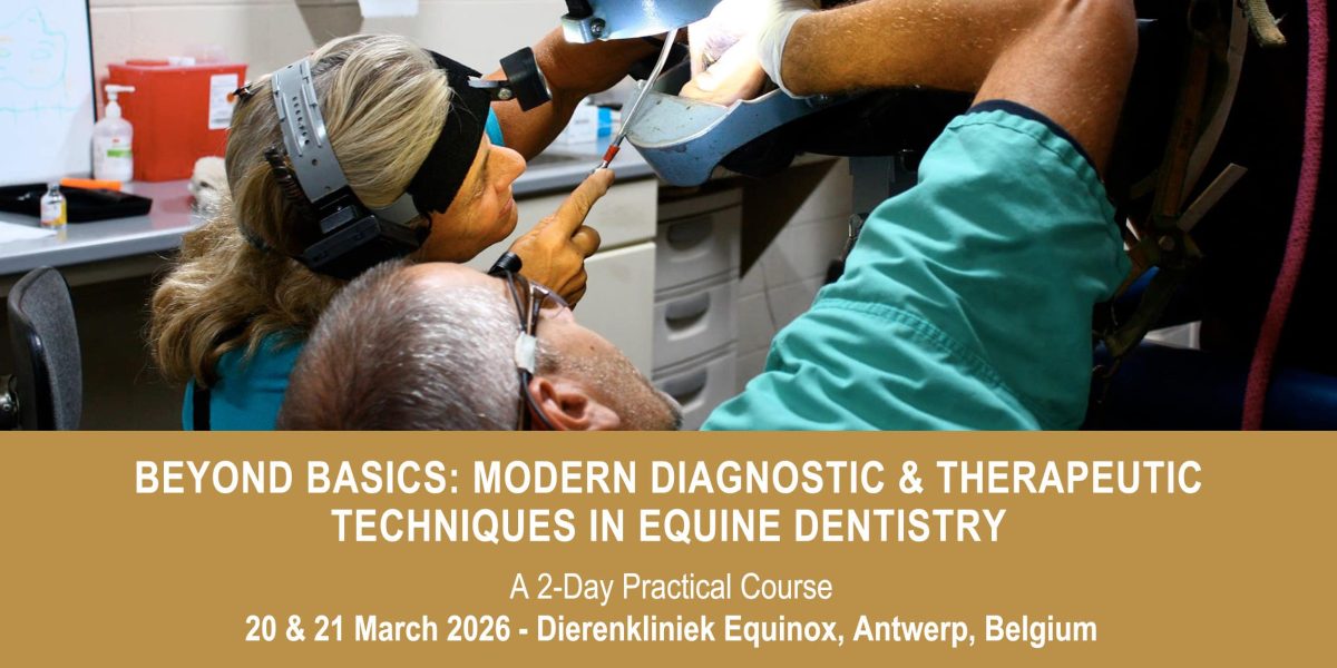 VetPD Course - Beyond Basics: Modern Diagnostic & Therapeutic Techniques in Equine Dentistry - 20 & 21 March 2026 - Belgium