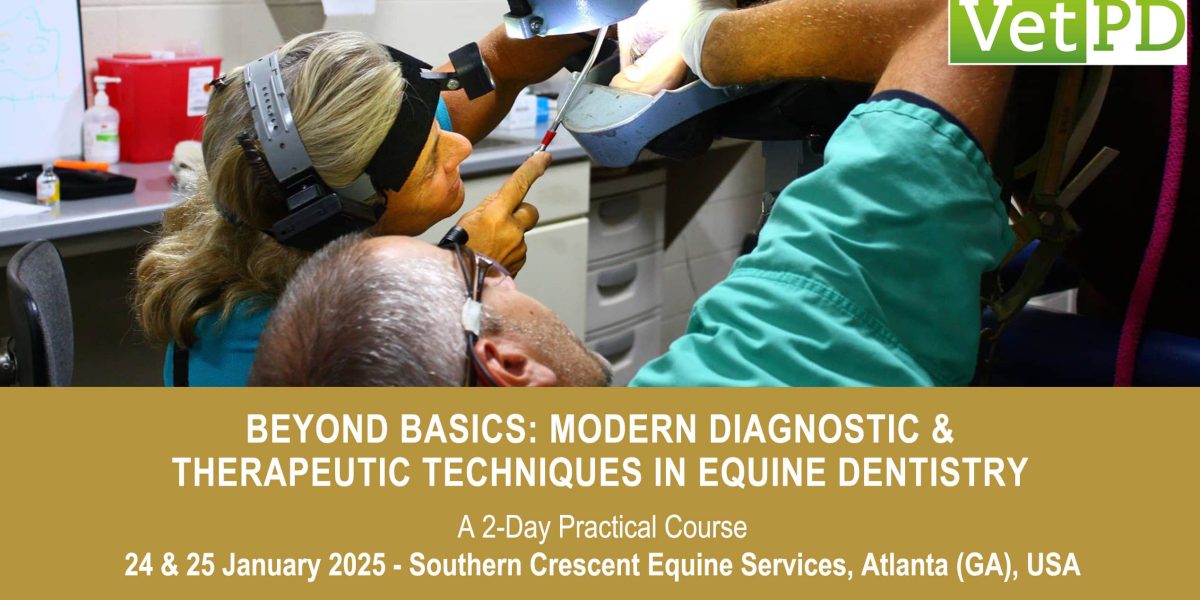 VetPD Course - Beyond Basics: Modern Diagnostic & Therapeutic Techniques in Equine Dentistry