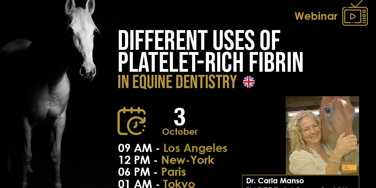 [HDE FREE Webinar] Different Uses of Platelet-Rich Fibrin in Equine Dentistry – Dr. Carla Manso