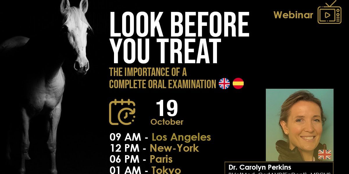 [HDE FREE Webinar] Look Before you Treat - The Importance of a Complete Oral Examination - Dr Carolyn Perkins