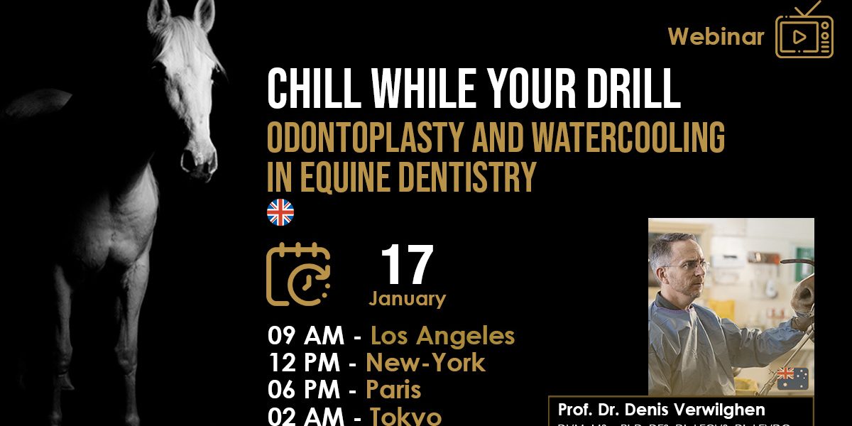 [HDE Webinar] Chill while you Drill – Odontoplasty and Watercooling in Equine Dentistry – Dr. Denis Verwilghen