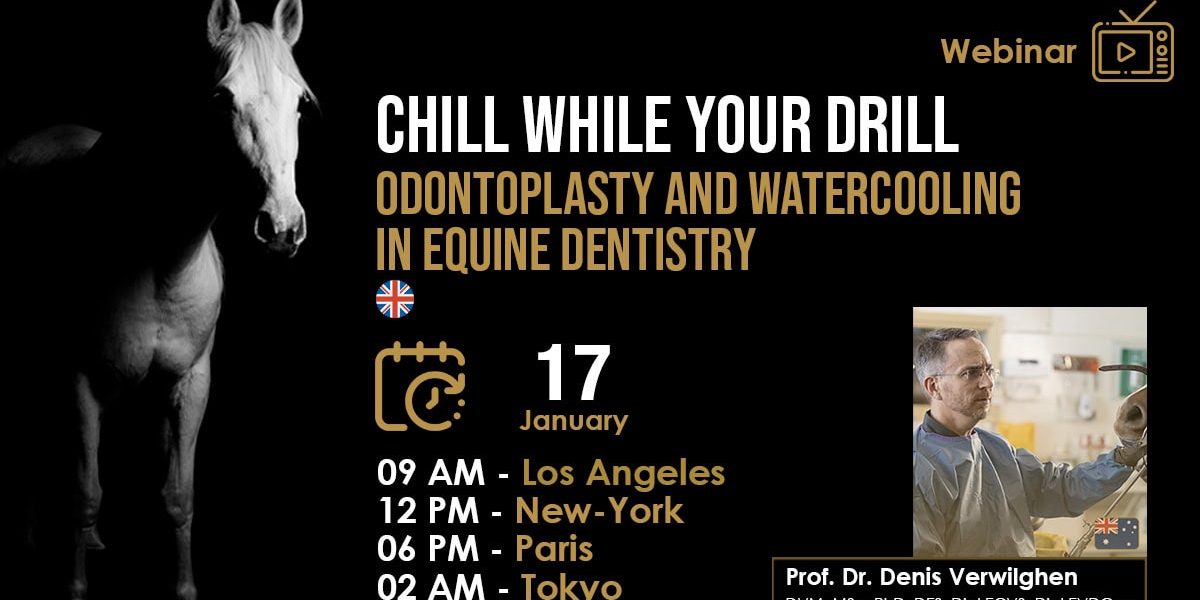 [HDE Webinar] Chill while you Drill – Odontoplasty and Watercooling in Equine Dentistry – Dr. Denis Verwilghen