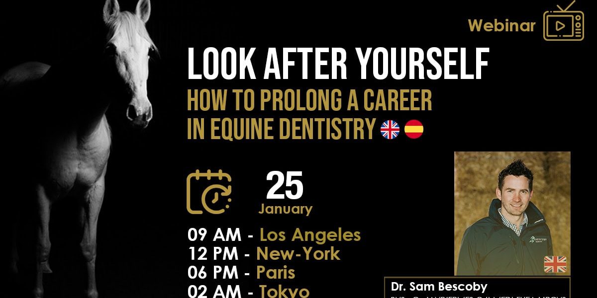 [HDE Webinar] Look After Yourself: how to prolong a career in equine dentistry - Dr Sam Bescoby